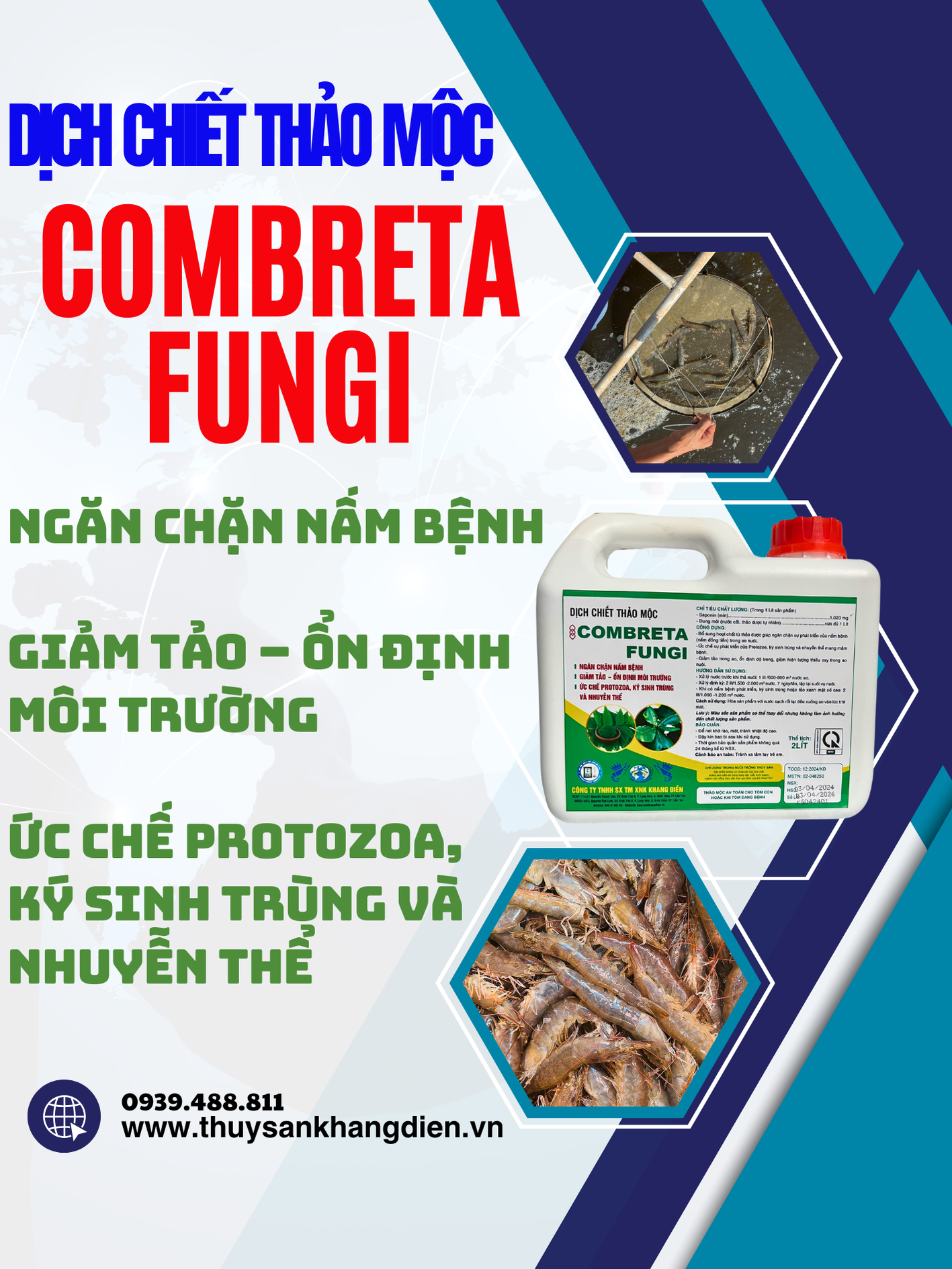 COMBRETA FUNGI