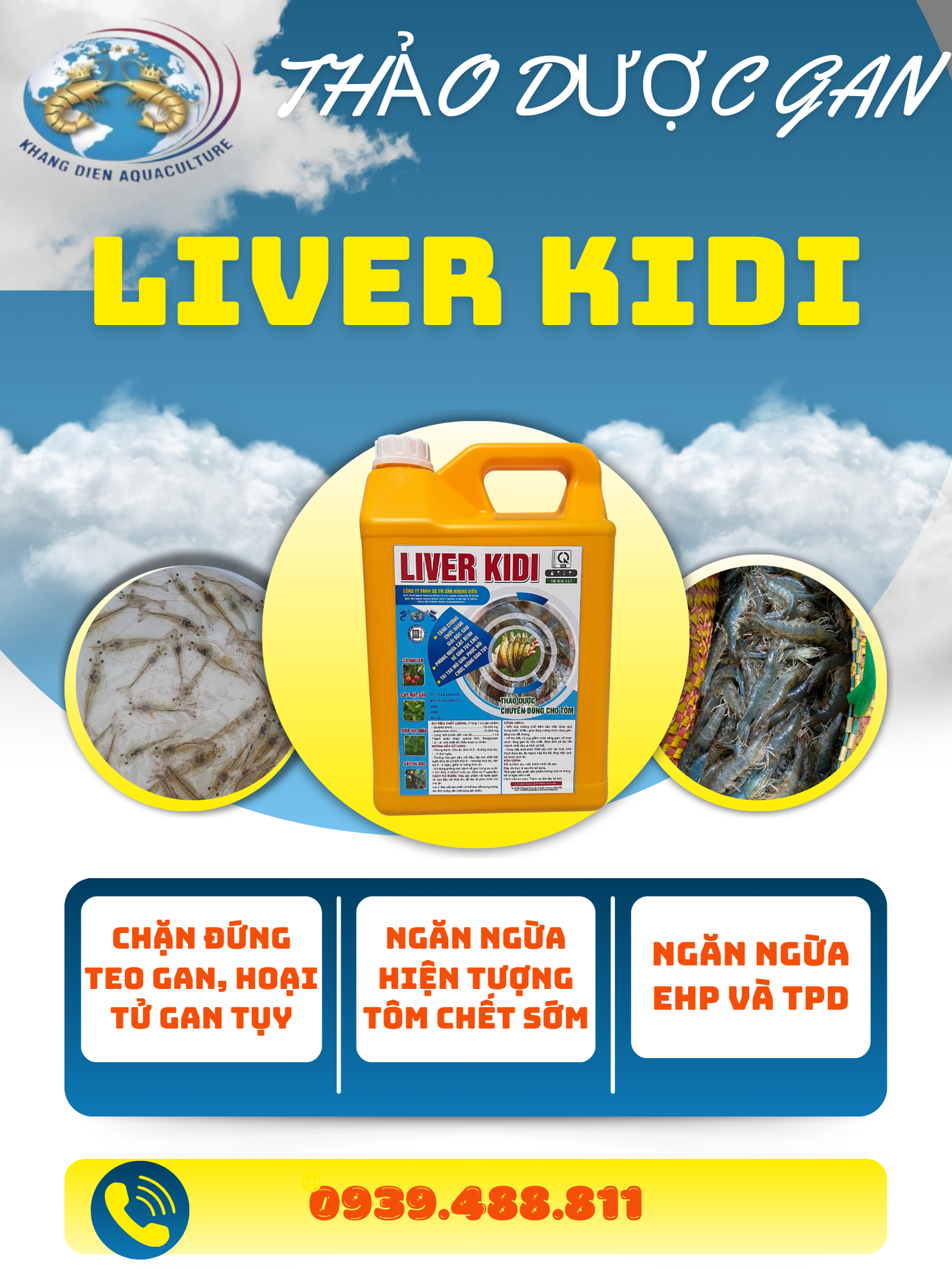 LIVER KIDI