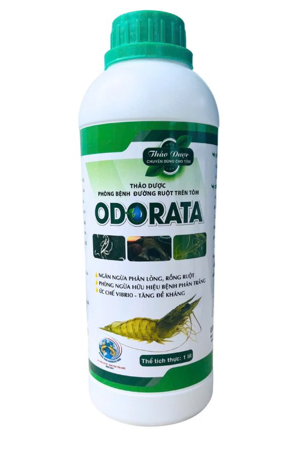 z6252297321597_8081345a4ba2da8604413685aedadec4